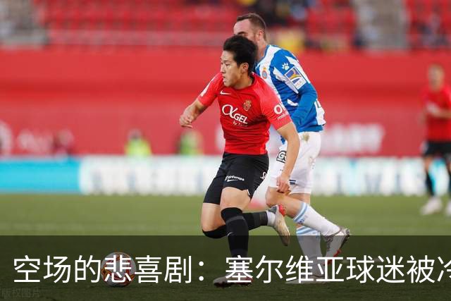 空场的悲喜剧：塞尔维亚球迷被冷落，德国比赛变身“喧闹派对